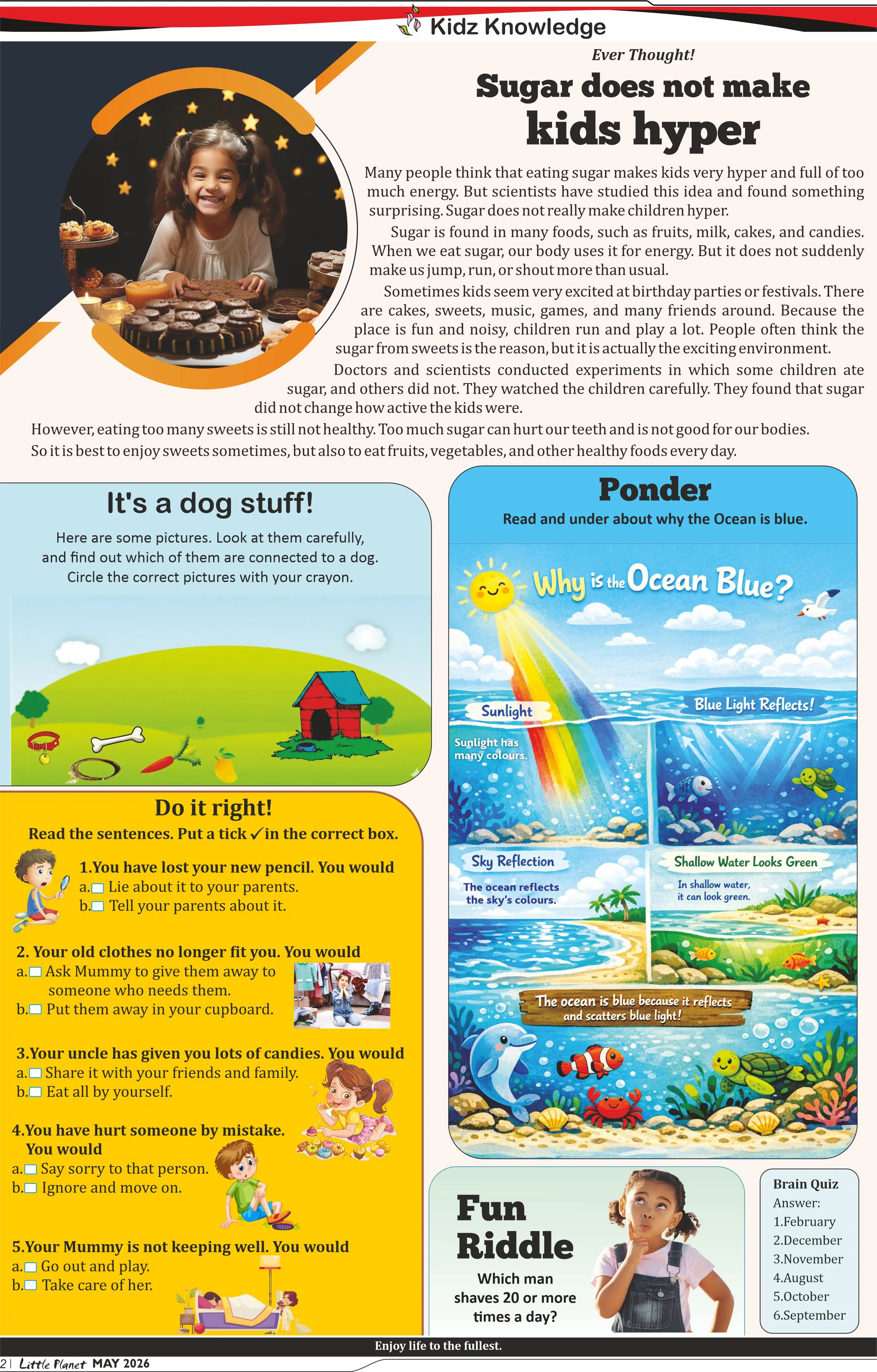 Little Planet Newspaper - Image 4
