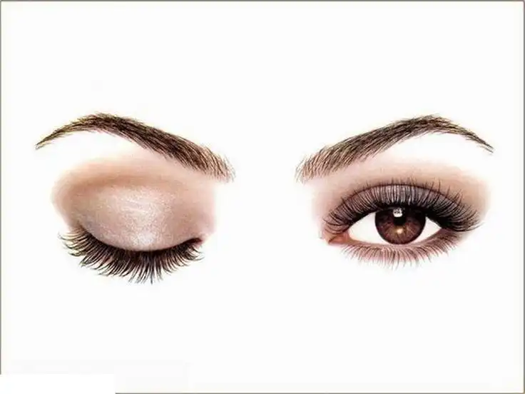 You are currently viewing Why Do We Blink Our Eyes?