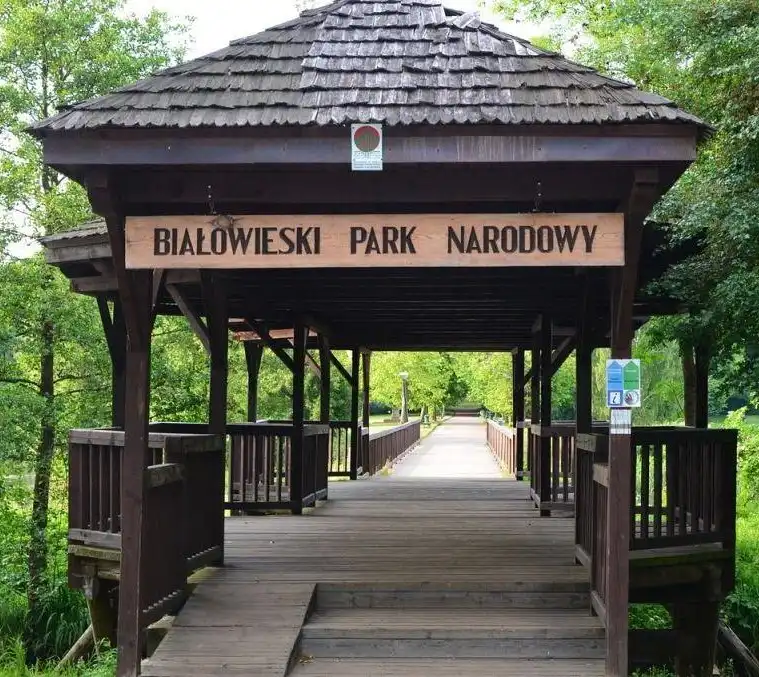 Białowieża Forest - UNESCO World Heritage Centre