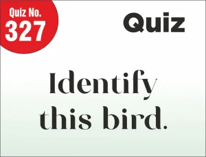 Read more about the article FIND THE MISTAKE – Identify this bird