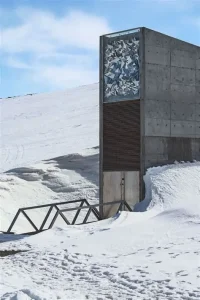 Read more about the article The Svalbard Global Seed Vault