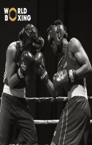 Read more about the article The World Boxing Cup