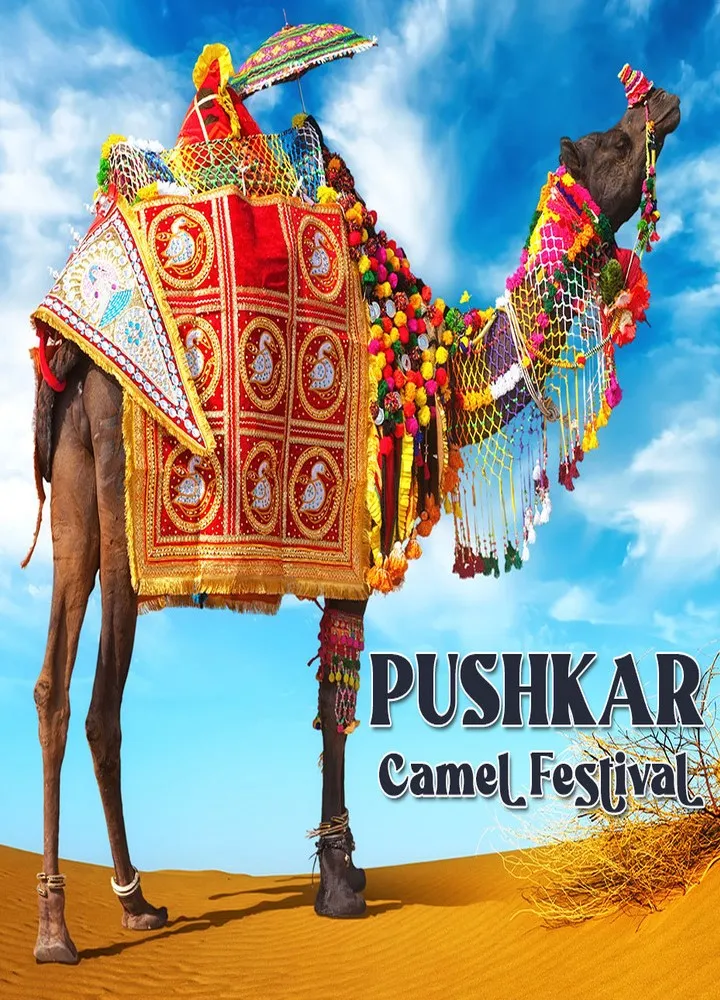 You are currently viewing The Pushkar Camel Festival