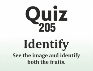Read more about the article QUIZ – Identify the picture and answer