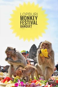 Read more about the article The Monkey Buffet Festival