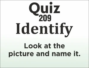 Read more about the article QUIZ – Identify