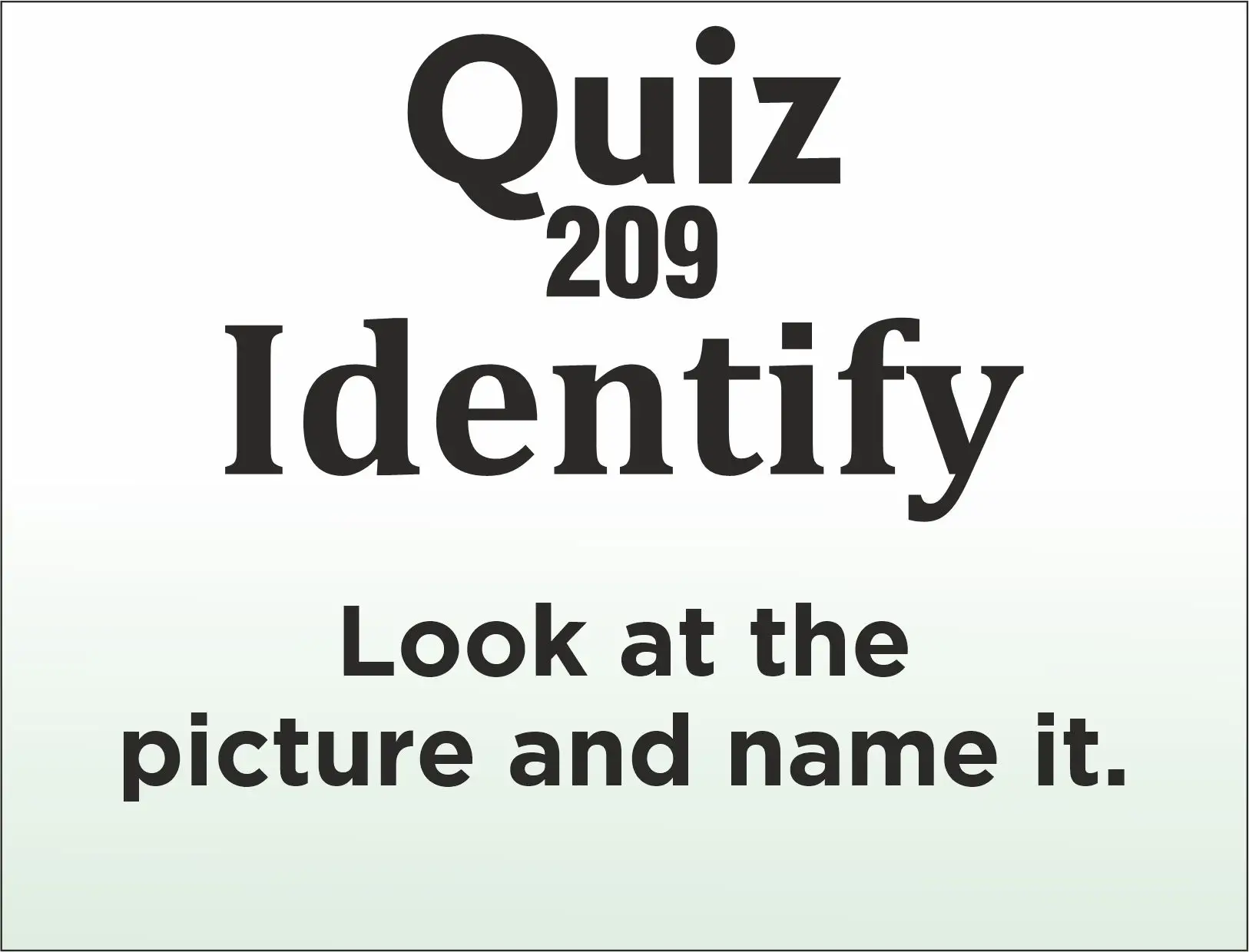You are currently viewing QUIZ – Identify