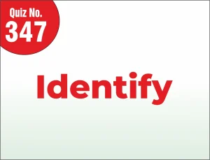 Read more about the article Identify