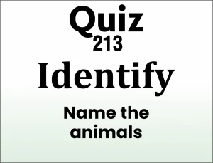 Read more about the article QUIZ – Identify