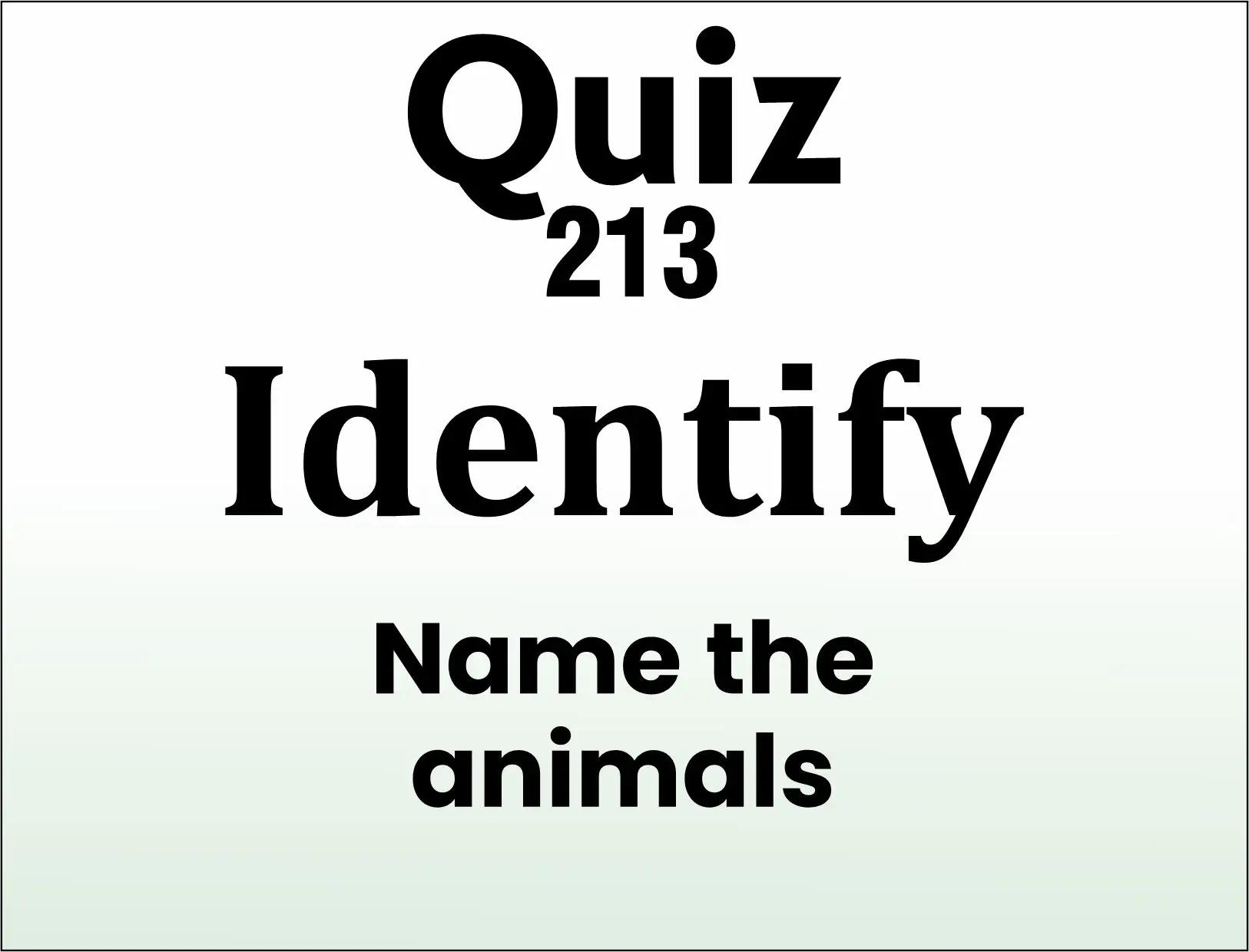 You are currently viewing QUIZ – Identify